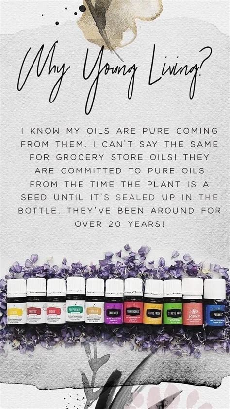 youngliving|World Leader in Essential Oils